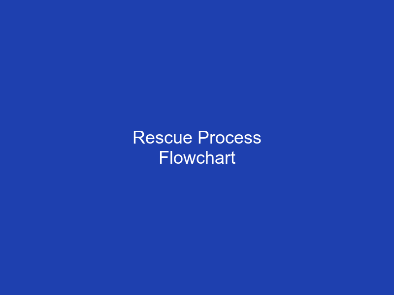 Rescue Process Flowchart